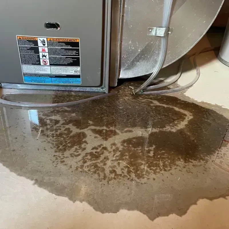 Appliance Leak Cleanup in Chaffee, MO